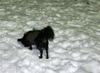BILD6407