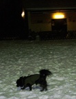 BILD6410