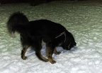 BILD6411
