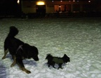 BILD6414