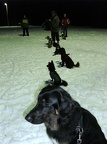 BILD6420