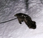 BILD6421