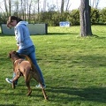 BILD7965