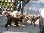 BILD8276