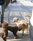 BILD8277