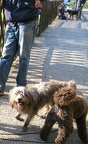 BILD8278