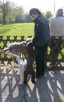 BILD8279
