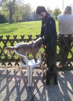 BILD8281
