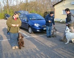 BILD8288