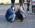 BILD8309