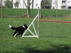 2010.04.24 Agility KG10