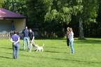 2010.05.22 Begleithunde