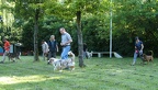 2010.06.23 Begleithunde (Gruppentraining)