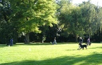 BILD3235