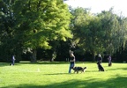 BILD3265