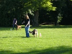 BILD3295