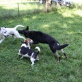 010