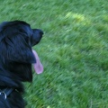 BILD3731
