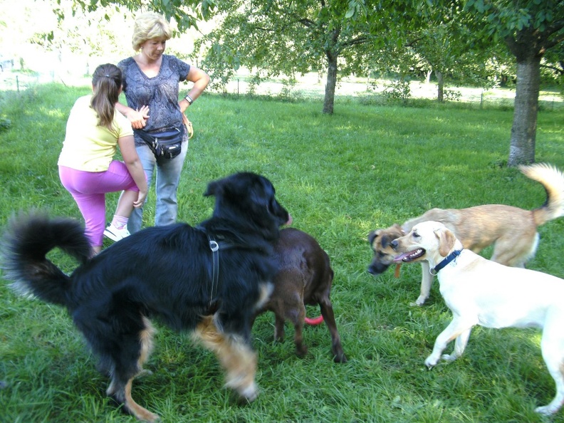 BILD3738.JPG