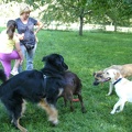 BILD3738