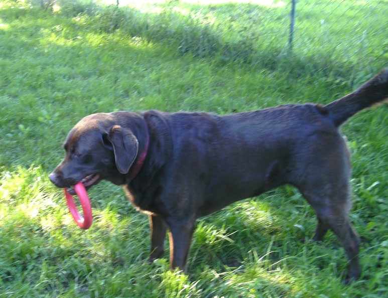 BILD3741.JPG