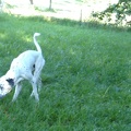 BILD3746