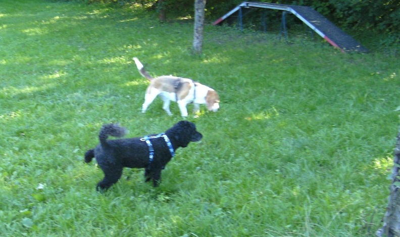 BILD3748.JPG