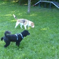 BILD3748
