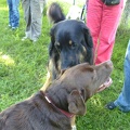 BILD3751