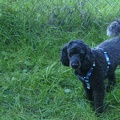 BILD3754