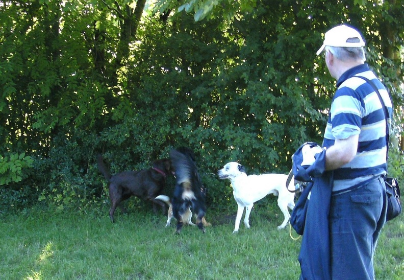 BILD3756.JPG