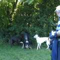 BILD3756