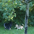 BILD3761