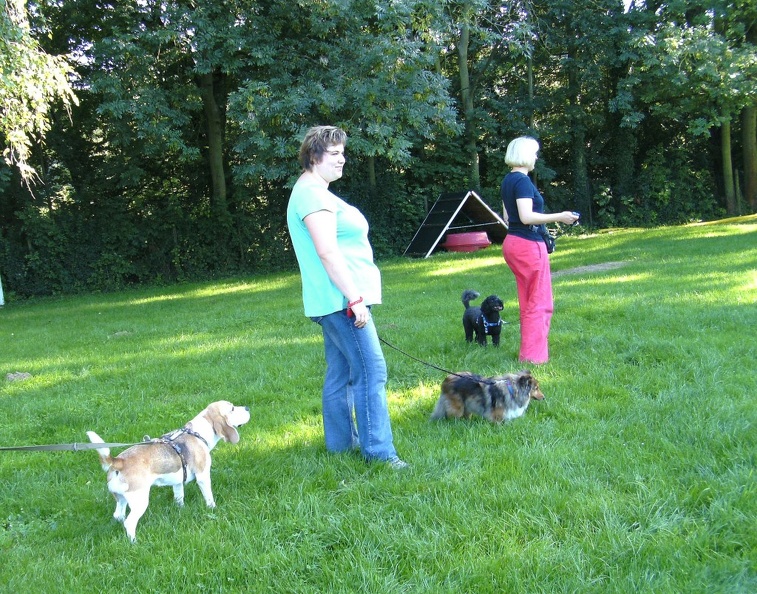 BILD3769.JPG