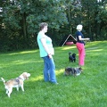 BILD3769
