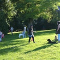 BILD3774