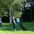 BILD3777