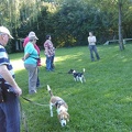 BILD3787