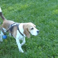 BILD3788