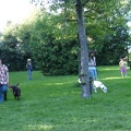 BILD3801