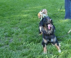 BILD3815