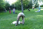 BILD3816
