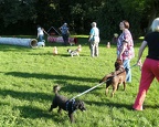BILD3825