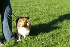 BILD3834