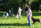 BILD3840