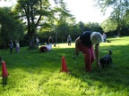 BILD3852