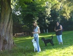 BILD3870