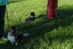 BILD3882