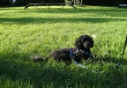 BILD3885