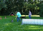 BILD3889